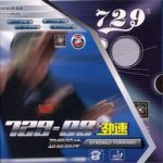 Friendship 729 729-08