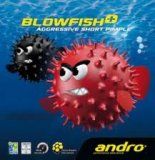 andro Blowfish + Plus Short Pips