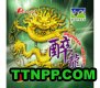 PALIO Drunken Dragon Tension/Biotech