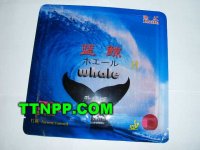 Haifu Blue Whale II Factory Tuned UPGRADE Vacuum- Packed