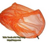 Kinson Ball Catcher Replacing Net