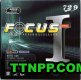 Friendship 729 FOCUS I