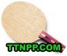 Donic Waldner Dicon