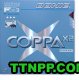 Donic Coppa X2 Platin SOFT