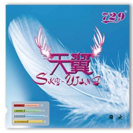 Friendship 729 Sky-Wing