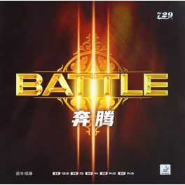 729 Battle 3 III Province