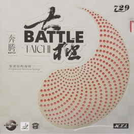 Friendship 729 Battle TAICHI