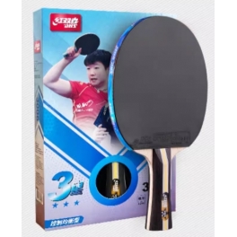 DHS 3002/3006 3-Star Table Tennis Racket