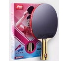 DHS 4002/4006 4-Star Table Tennis Racket