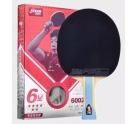 DHS 6002/6006 6-Star Table Tennis Racket