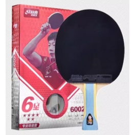 DHS 6002/6006 6-Star Table Tennis Racket