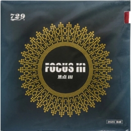 Friendship 729 FOCUS III 3